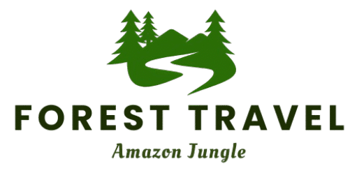 Forest Travel