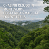 Chasing Clouds in Monteverde Costa Rica’s Magical Forest Trails