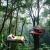 Sleeping in the Jungle Top Amazon Environmentally Friendly Lodges and Treehouses