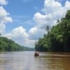 The Amazon River Discover the Secrets of the largest Rainforest of the World