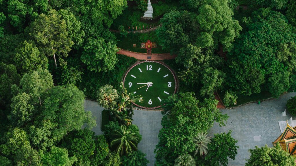 Travel Through the Forest of Time