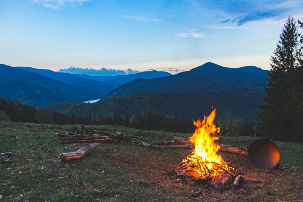 forest fire travel
